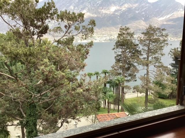 Wonderful Lake Front Appartment Near Bellagio Limonta Ngoại thất bức ảnh