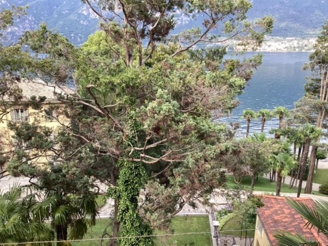 Wonderful Lake Front Appartment Near Bellagio Limonta Ngoại thất bức ảnh