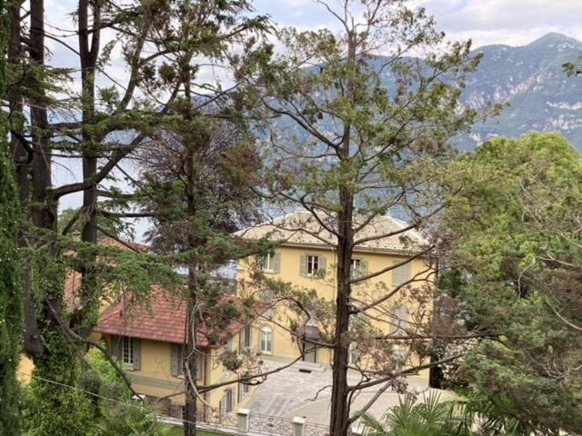 Wonderful Lake Front Appartment Near Bellagio Limonta Ngoại thất bức ảnh